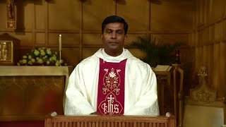 Catholic Mass Today  Daily TV Mass Wednesday May 15 2024 [upl. by Sitoeht]