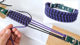 Best Paracord Knots for Dog Collars or Wide Bracelets  4 Row Trilobite Knot  DIY  Macrame [upl. by Kylie]