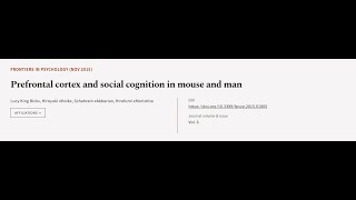 Prefrontal cortex and social cognition in mouse and man  RTCLTV [upl. by Sophie]