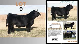 The One and Only Simmental Sale  January 14 2024 [upl. by Lupiv]