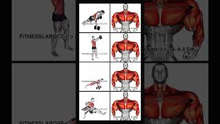 Dumbbell Upper Body Workofitnessgymexerciseworkoutworkoutvideosbodybuildingfitnessmotivation [upl. by Kalikow469]