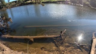 Hawkesbury River Trout Season Opening Day [upl. by Bever]