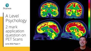 Edexcel AL Psychology 2 mark explain question [upl. by Derby]