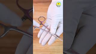 Alli’s Tissue Forceps  Surgical Instrument nursingeducation shorts [upl. by Ainevuol]