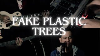 Radiohead  Fake Plastic Trees Cover [upl. by Inna]