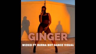 GINGER  WIZKID FT BURNA BOY Dance visual [upl. by Tlevesoor]