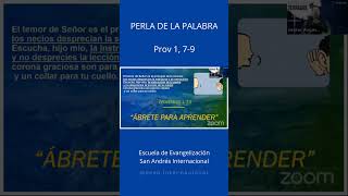 PERLA Prov 1 79 biblia [upl. by Ku]