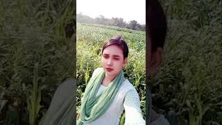 Bilionera new english video song2024 english song englishsongs [upl. by Sualokcin]