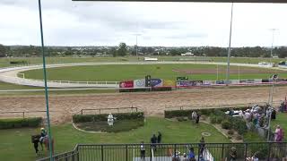 Gympie 25112023 Race 4 [upl. by Bronwyn806]