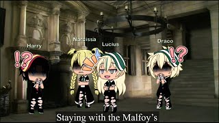 Staying with the malfoys  harco series  pt2  hp [upl. by Najed]