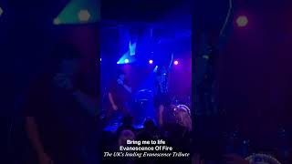 Bring me to life live at Rebellion Manchester Evanescence Tribute [upl. by Alaric]