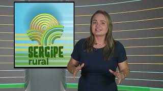 SERGIPE RURAL  PROGRAMA 484 [upl. by Akcirahs]