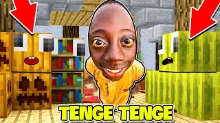 MINI GAME  TENGE TENGE TRỐN TÌM BLOCK MINECRAFT  NOOB TEAM ÁM ẢNH CHƠI TRỐN TÌM BLOCK KHỎI TENGE [upl. by Enitsyrhc959]