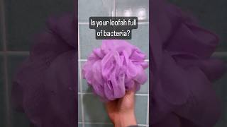 Is your loofah full of bacteria [upl. by Yensehc]