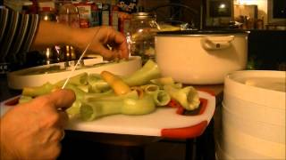 Dehydrating Banana Peppers with my Nesco Dehydrator amp Sealing it With My Food Saver V3245 [upl. by Arol684]