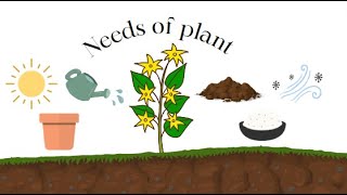 Needs of a plant for kids Needs of a plant to grow Kids educational video KG Science [upl. by Feeley41]