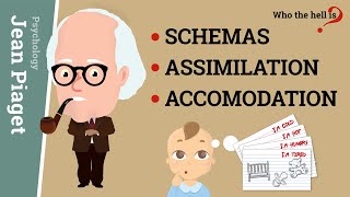 Schemas Assimilation and Accomodation Jean Piagets Epistemological Concepts [upl. by Vivienne]