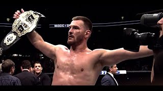 Stipe Miocic vs Daniel Cormier 2 Eleven liver shots [upl. by Grounds988]