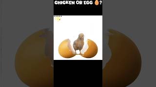 which came first the chicken or egg  facts newfacts trendingfacts [upl. by Ewnihc]