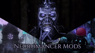 Skyrim  Best Mods for a Necromancer Build LE SE [upl. by Joete364]