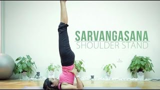 How to do Sarvangasana  Shoulder Stand [upl. by Somar]