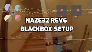 Setup  Naze32 Rev6 Blackbox [upl. by Cela]