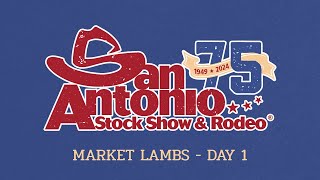 San Antonio 2024  Market Lambs Day 1 [upl. by Nigel]