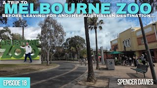 Episode 18 A trip to Melbourne Zoo before leaving Melbourne  final day Sept 2024 [upl. by Roseanna]