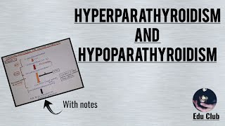 Hyperparathyroidism And Hypoparathyroidism  Disorders Of Calcium Homeostasis [upl. by Reames]