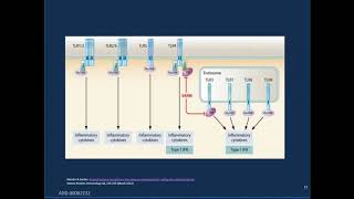 Clinical Applications and Strategies Using Procalcitonin PCT to Improve Patient Outcomes [upl. by Rodger15]