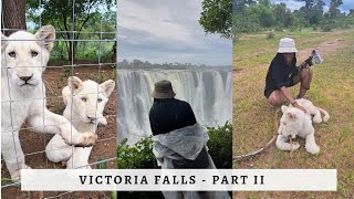 Walking with the King amp Queens of the Jungle  Victoria Falls Vlog Part II [upl. by Mitch]