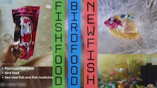 Purchase new fishfish foodbird foodfish medicine viralvideoviralshorts birdfoodfishfood [upl. by Marjy396]