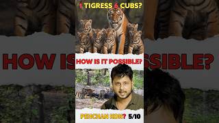 😧😧Unbelievable story of this Tigress🐅🐅  0510 [upl. by Llertnahs]