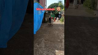 Kolkata catching blind dog and treatment for shelter difficult catching karon dog ta pregnant [upl. by Atalayah]