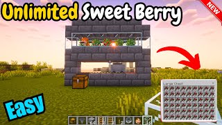 How to Build Automatic Sweet Berry farm Minecraft 120  Minecraft Sweet Berry farm [upl. by Nwahshar]