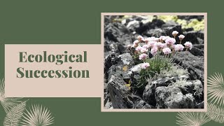 018 Ecological Succession Primary and Secondary Succession Ecology EcologicalSuccession [upl. by Ximena]