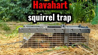 Havahart Squirrel trap [upl. by Lua82]