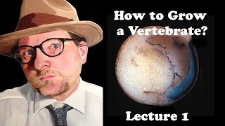 Lecture 1 How to Grow a Vertebrate [upl. by Cirad]