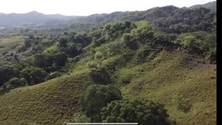 EXCELENTE FINCA EN EL CAMPO ARROYO DE LECHEPUERTO PLATAREPÚBLICA DOMINICANA [upl. by Eireva]