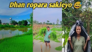 Dhan ropara sakieyo guys 🌾❤️ [upl. by Erdnael]