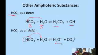 Amphoteric Substances amp Conjugate Bases [upl. by Revell]