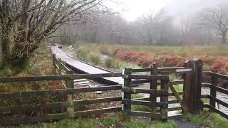 Gwenffrwddinas amp afon tywi nature reserve walk [upl. by Xymenes]