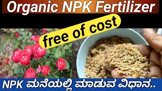 ರೂಪಾಯಿ ಖರ್ಚಿಲ್ಲದ ಆರ್ಗಾನಿಕ್ NPK ಮಾಡುವ ಸುಲಭ ವಿಧಾನhow to make organic NPK at homeNPK Fertilizer [upl. by Eanom]