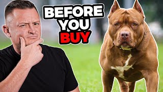 Is the PIT BULL Right For You [upl. by Lezirg]