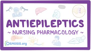 Antiepileptics Nursing Pharmacology [upl. by Ian88]