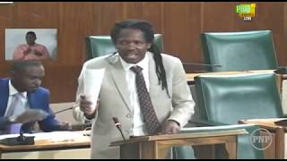 Senator Damion Crawford The Honourable Senate July 12 2019 [upl. by Maggs]