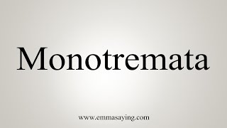 How To Say Monotremata [upl. by Ydnelg]