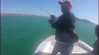 Fishing for trophy Shad in Langebaan Lagoon West Coast [upl. by Kyd41]