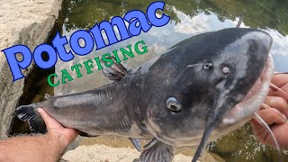 Potomac Catfishing [upl. by Tseng]