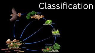 Classification  STD 9 Biology New Syllabus [upl. by Notselrahc625]